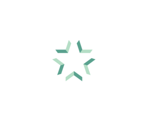 Logo Stars - Straubing